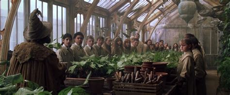 Ilvermorny School for Magical Studies: A British Influence on American Wizarding Education